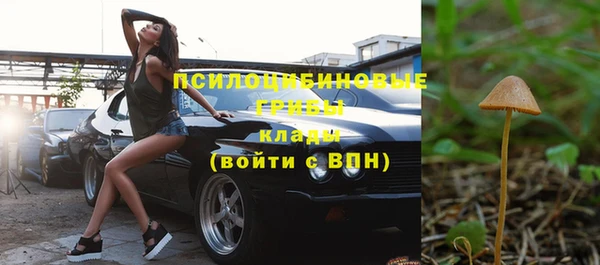 винт Алзамай
