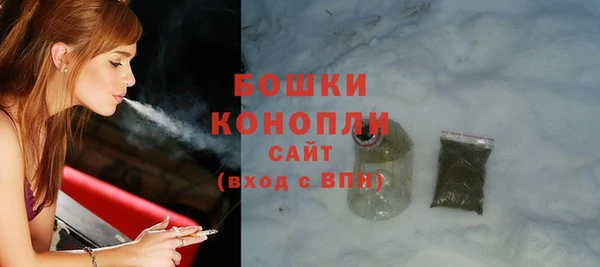 ешки Алексин