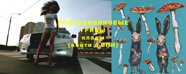 spice Арсеньев