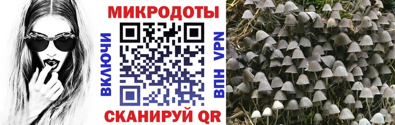 Псилоцибиновые грибы Psilocybe  купить   KRAKEN ссылка  Унеча 